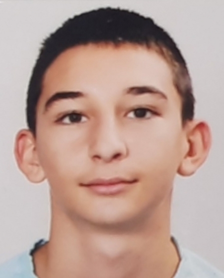 Денис Стоянов